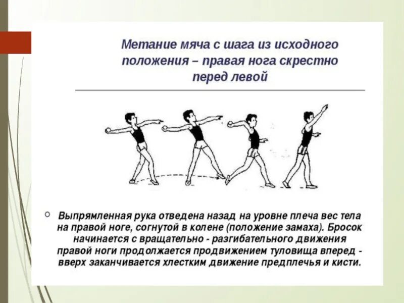 Максимальное время на выбрасывание мяча. Техника метания теннисного мяча в цель. Техника метания малого мяча в горизонтальную цель. Метание мяча в цель с места техника выполнения. Метание мяча физкультура 7 класс.