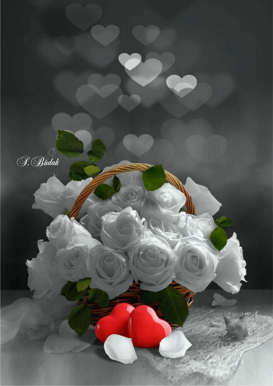 Белые розы букет любовь. Белые розы букет любовь. Цветы розы белые и красные. 101 роза белая прауд. Белые розы букет любовь.