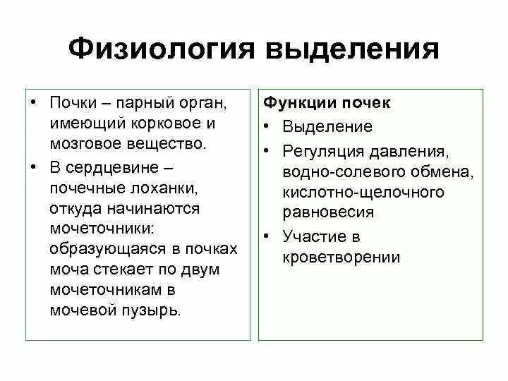 Парные органы выделения. Выделительная система нормальная физиология. Физиология органов выделения. Система выделения физиология. Выделительная функция почек физиология.