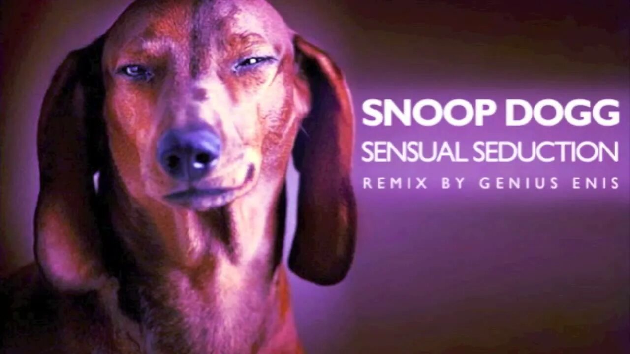 Sensual seduction snoop. Snoop Dogg sensual Seduction.