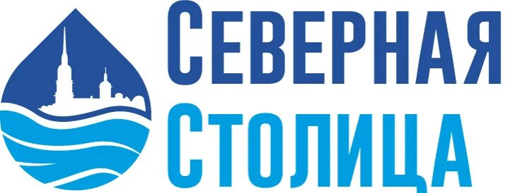 Северная столица учебный центр. Северная столица медаль 2021. Агентство недвижимости спб. Северная столица (10 штук). Северная столица с большой буквы.