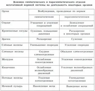 Сравнительная таблица симпатической и парасимпатической нервной системы