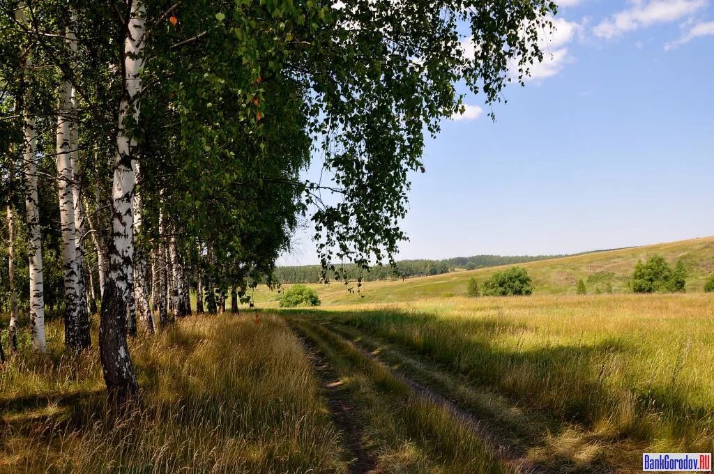 Природа Орловской области. Просторы Рязанской области. Орловская Рязанская область природа. Село Октябрьское Челябинской области природа.