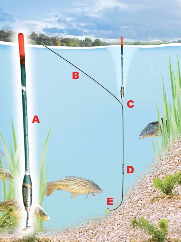 Снасть на поплавок. Рыбалка на поплавочную удочку. Рыбалка на удочку с поплавком. Удочка с поплавком. Ловля на удочку с поплавком