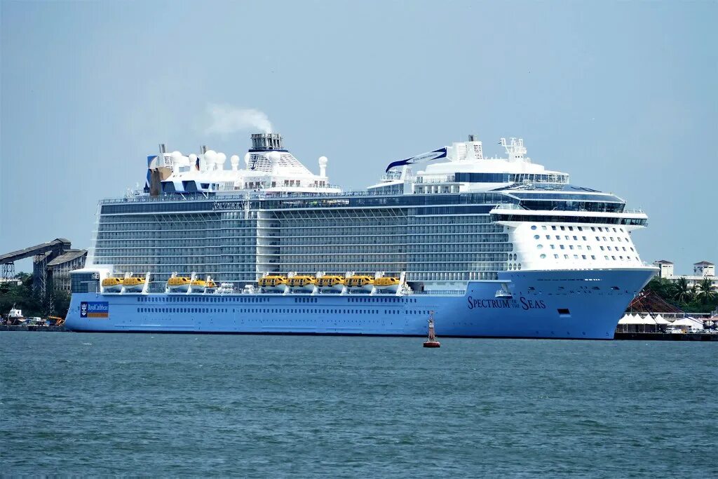Лайнер spectrum of the seas. Spectrum of the seas. эдвенча оф зе сиас.