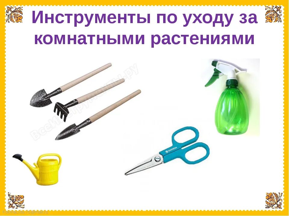 Памятка комнатные растения. Уход за комнатными растениями. Памятка как ухаживать за комнатными растениями. Учимся ухаживать за комнатными растениями 1 класс. Как ухаживать за растением проект.