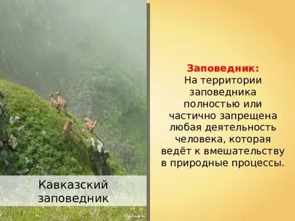 Деятельность человека на территории заповедника