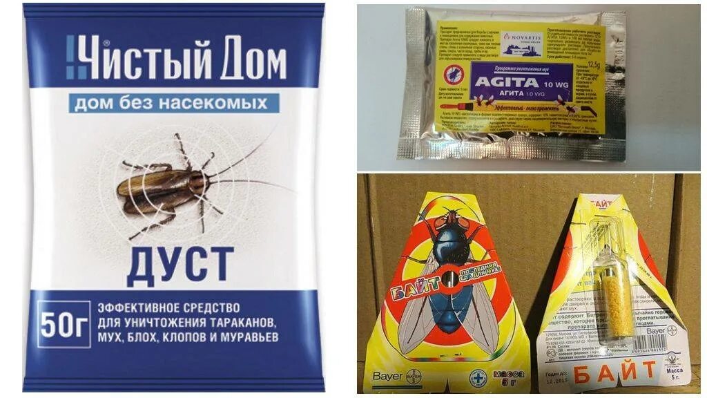 Как избавиться от мух в доме быстро. Средство от мух. средство от мух на улице. отрава от мух. средство от мух в доме.