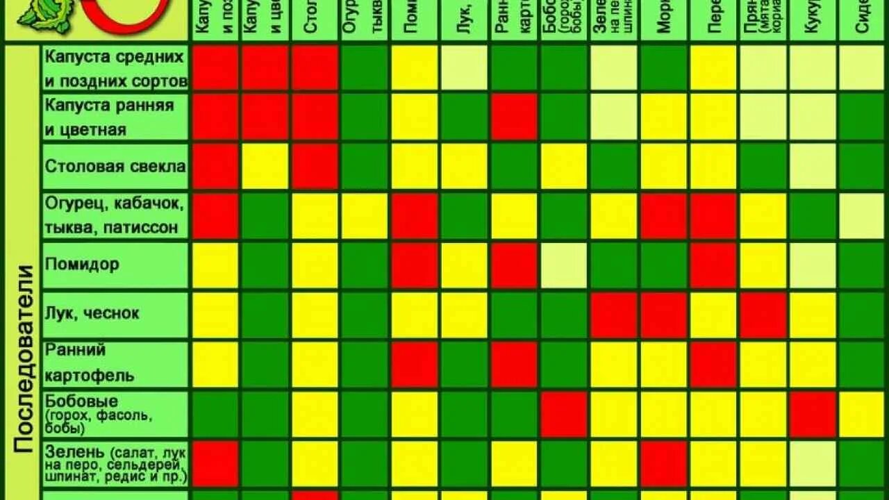 Можно сеять вместе. Севооборот и соседство овощей на грядках. Совместимые посадки. Совместимость растений на грядке. Совместимость овощных культур.