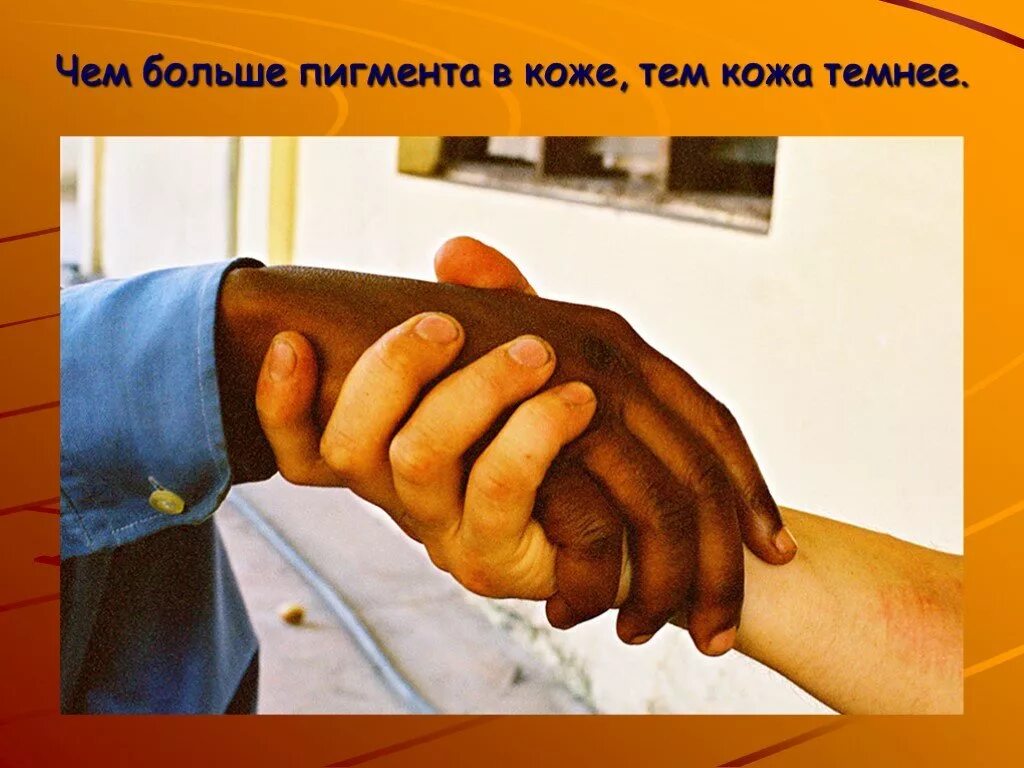Презентация "Надежная защита организма - кожа" (3 класс) по окружающему миру - с