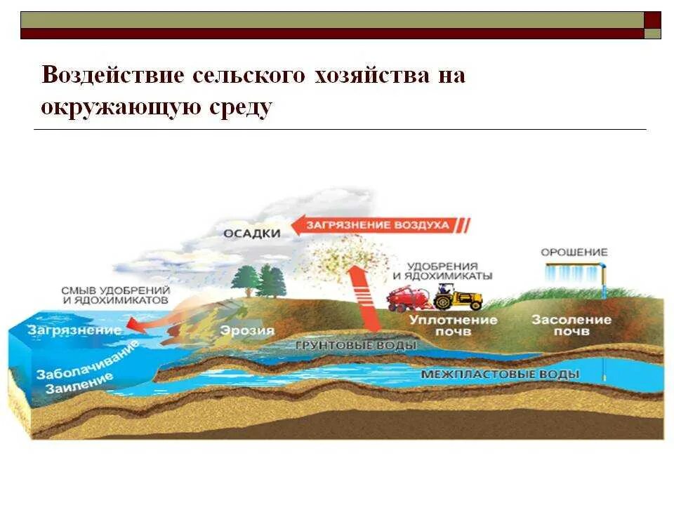 Влияние окружающей среды на почву. Влияние сельского хозяйства на природную окружающую среду. Воздействие сельского хозяйства на окружающую среду. Влияние земледелия на окружающую среду. Влияние с/х на окружающую среду.