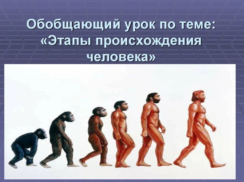 Как произошли люди на земле. Происхождение человека. Происхождение человека на земле. История происхождения человека. Тема урока происхождение человека.