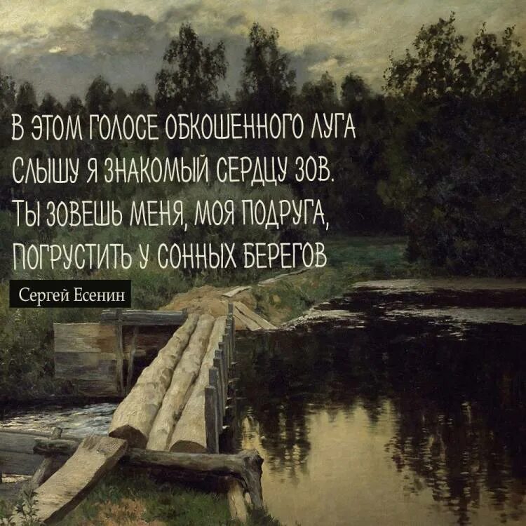 Цитаты высказывания Есенина. Цитаты Есенина. Есенин цитаты о любви.