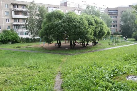 Дачные 2 ивантеевка