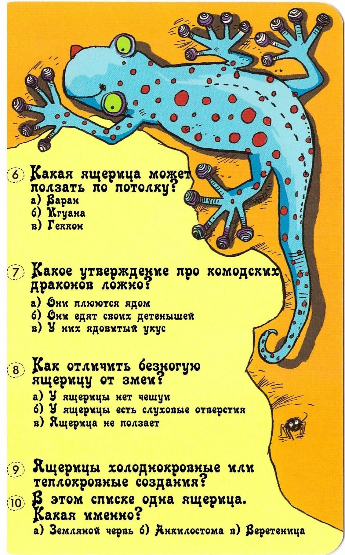 Вопросы для интервью для детей. Какие вопросы можно задать о животных. Вопросы про животных с ответами для викторины. Вопросы для детей. Какие вопросы можно задать о животных.