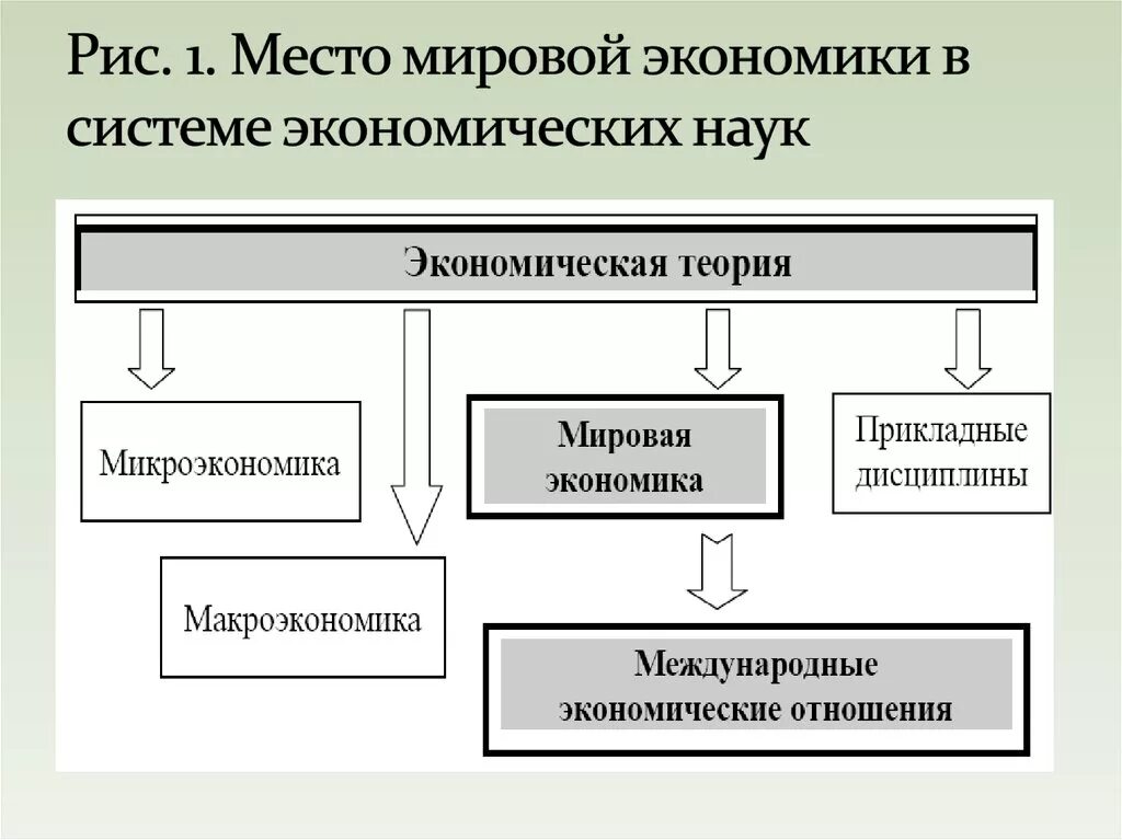 Структура международных экономических. Мировая экономика и международные экономические отношения. Объекты мировой экономики. Место микроэкономики в системе экономических наук. Место экономики в системе экономических наук.