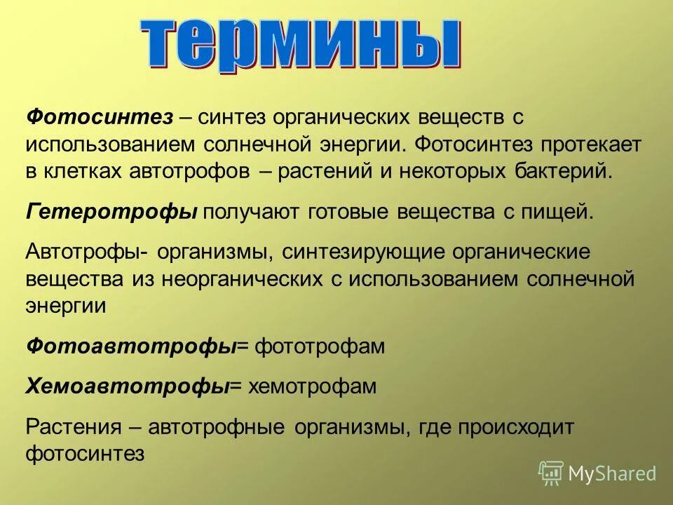 Термин биология использовал. Термины биологии. Термин биология использовал. Понятия по биологии 5 класс. Основные понятия биологии.