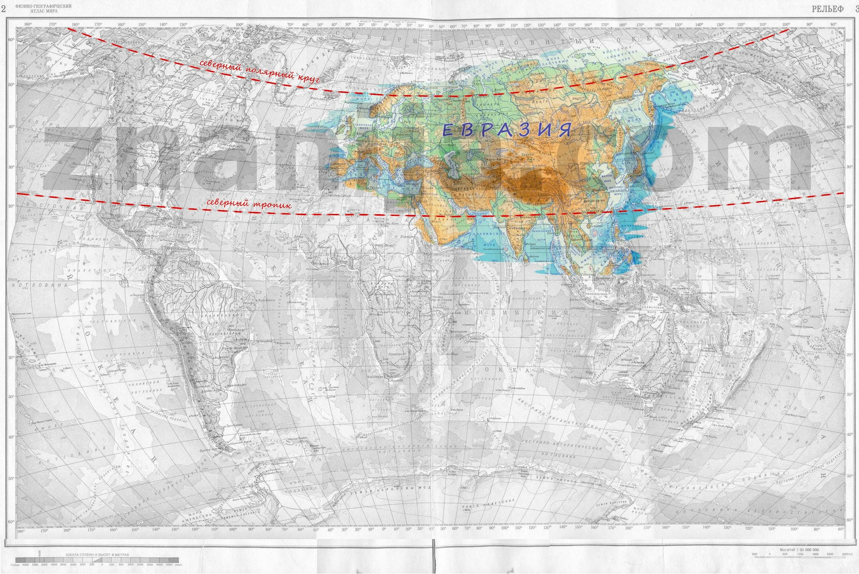 Северный Тропик и Северный Полярный круг на карте Евразии. Северный Тропик, Северный Полярный круг Евразия. Северный Тропик на карте Евразии. Полярный круг на карте.