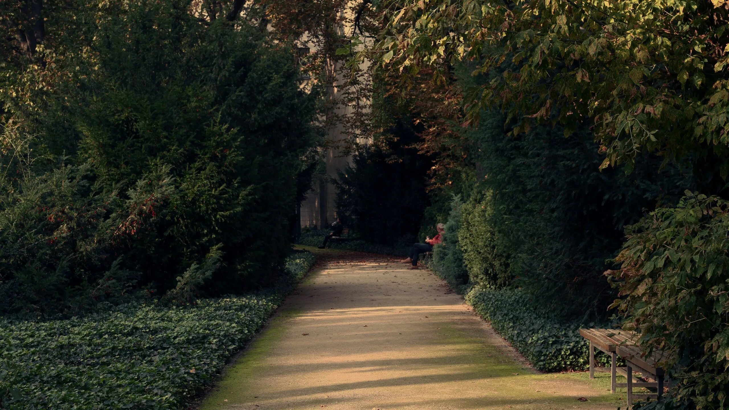 Тропинка в лесу. Лесистая тропинка или лесная. Лес полянка горбик ямка. Тропинка в лесу. Path ok.