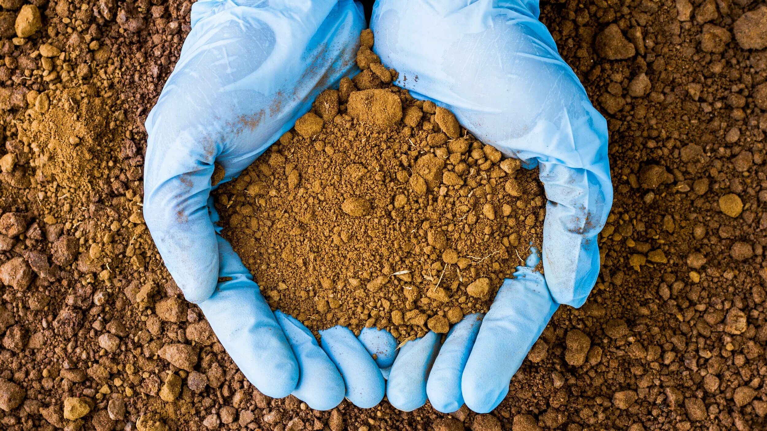 Фтор в почве. Чистая почва. Микроорганизмы в почве. Очищение почвы. Загрязнение почвы.