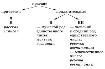 Написание кратких прилагательных н и нн