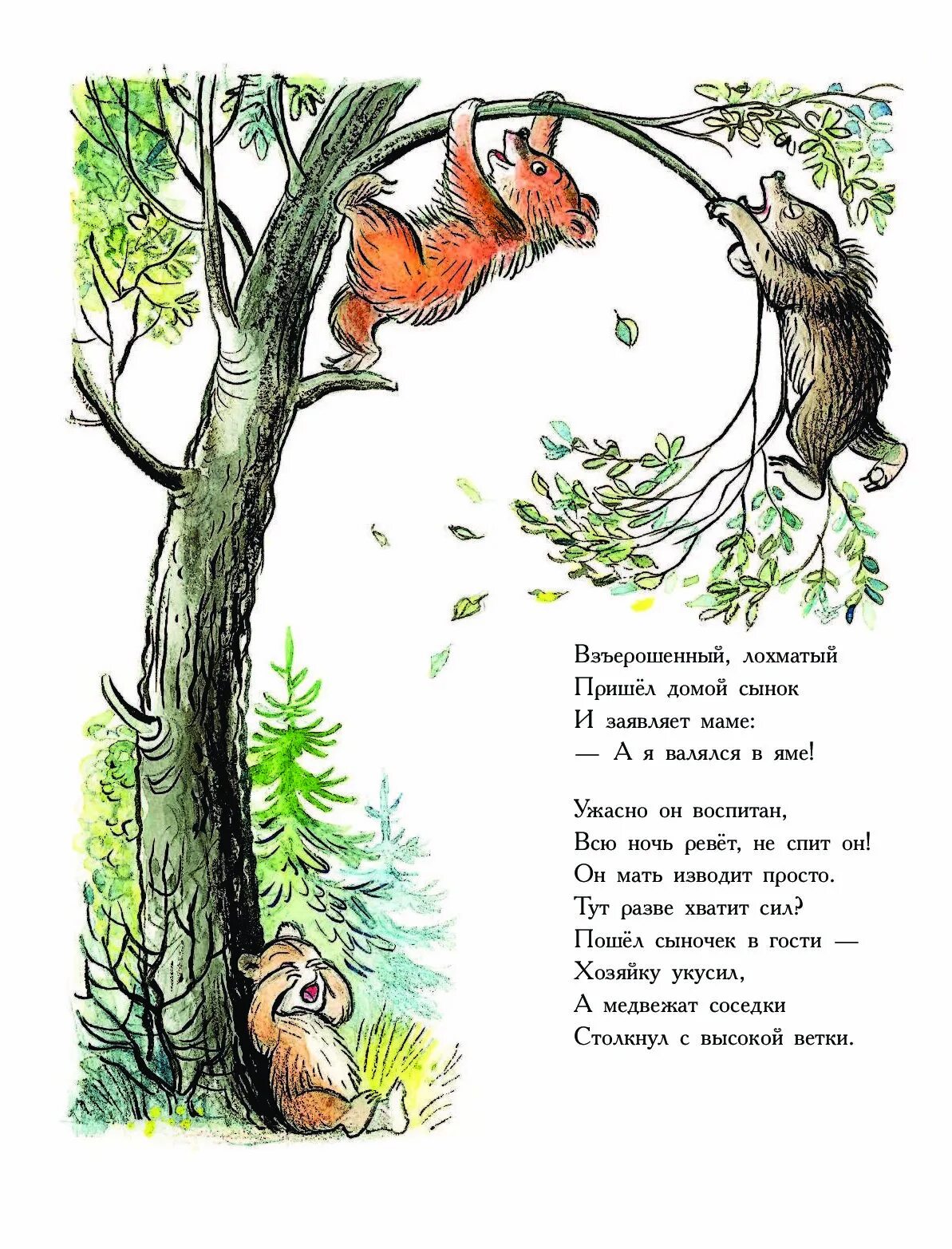 Барто а. Сказочные шишки. Сказка про шишки. Рассказ про шишки. Медвежонок невежа стих.