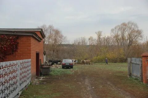 Мокрая савалеевка