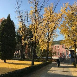 Keimyung university
