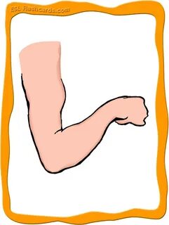 Arm part of body