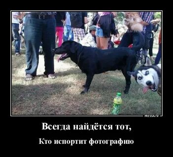 Когда то эта компания была