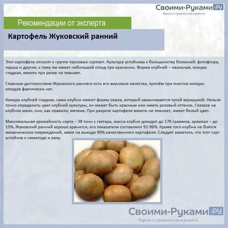 Картофель Жуковский описание сорта характеристика. Жуковский ранний сорт картофеля характеристика. Жуковский ранний картофель характеристика. Картофель Жуковский ранний описание сорта. Гала урожайность