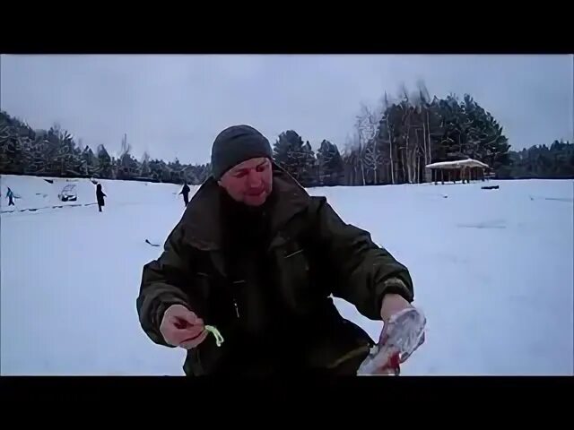 Псков форелевый. Форелевая ферма псков печорский. форелевый хутор печорский район. вашина гора форелевый хутор. форелевый хутор псковская область.