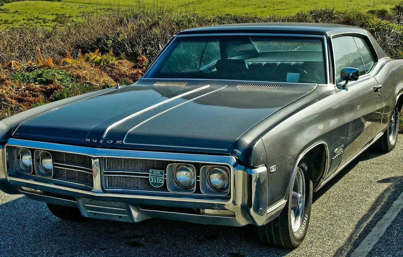 Американские машины качество. Buick Wildcat 1969. Бьюик 1969 Buick Wildcat. Buick Wildcat Sport Coupe 1969. Buick Coupe 1969 Wildcat.