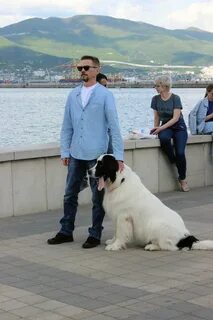 Бим3