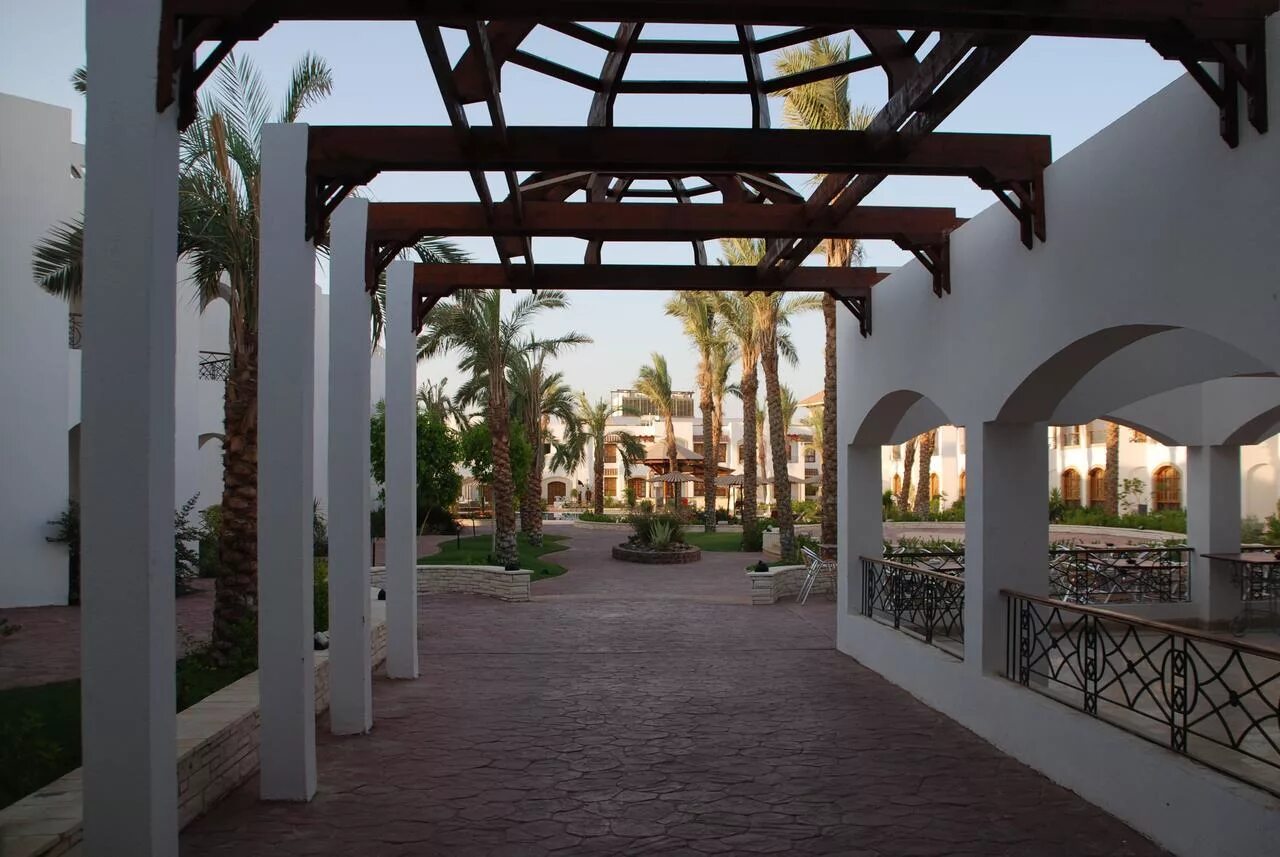 Coral hills 4. Coral Hills Sharm el Sheikh. Coral Hills Resort 4*. Coral Hills Sharm el Sheikh 3. Coral Hills Resort Sharm el Sheikh 4.