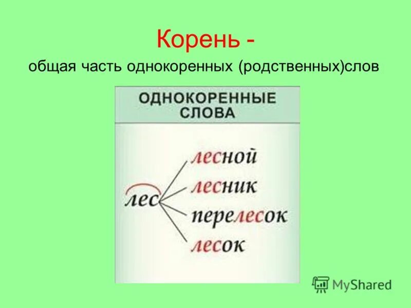 Розовый корень слова