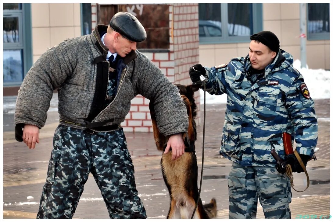 Конвой мвд. Младший инспектор отдела по конвоированию. Конвой служба. Конвоир в полиции. Отделение охраны и конвоирования подозреваемых и обвиняемых.