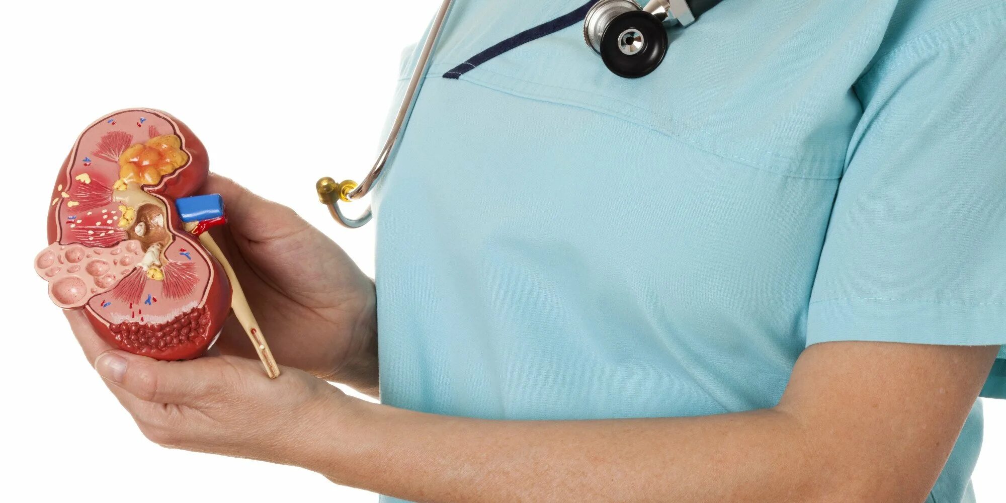 Врач лечит пиелонефрит. Врач лечит пиелонефрит. Врач осматривает спину. Врач лечит пиелонефрит. Врач и пациент сток.