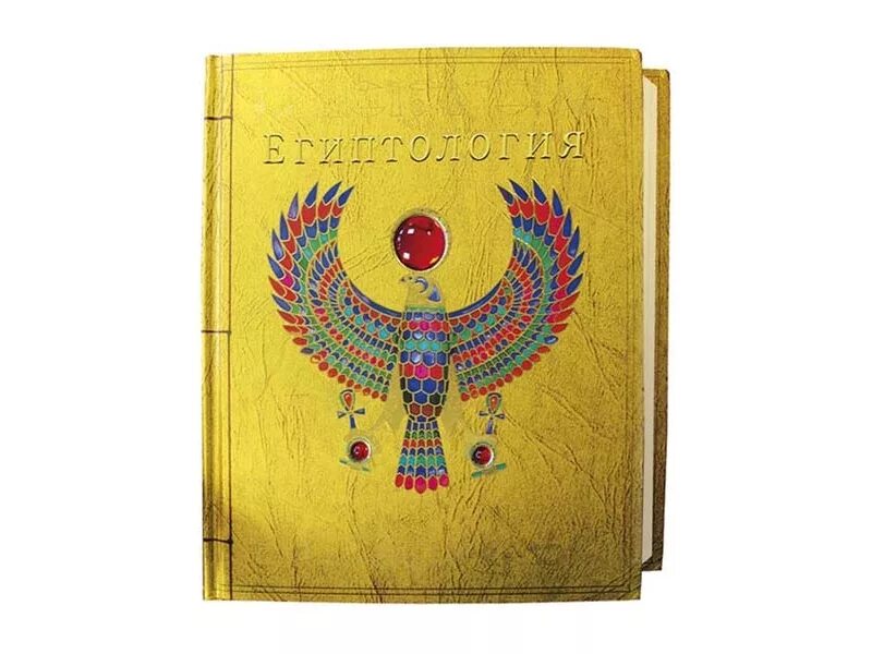 Египтология. Египтология для детей. Египтология для детей книга. Египтология для детей книга. Книги похожие на египтологию.