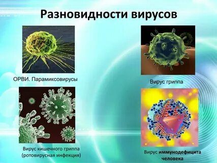 Грипп возбудитель болезни