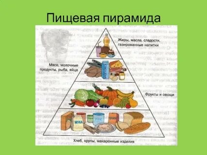 Пищевая пирамида 5 класс технология