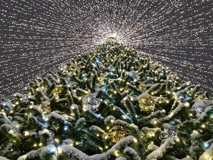 Новогодний архангельск