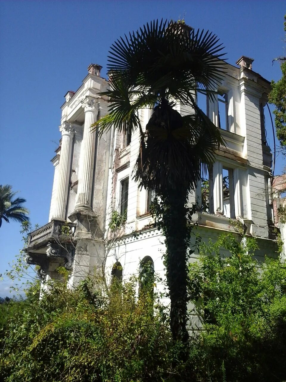 Заброшенный дворец князя смецкого. Дворец князя смецкого в абхазии 365 комнат. Гульрипш дворец князя смецкого. Санаторий смецкого в абхазии. 365 комнат в абхазии.