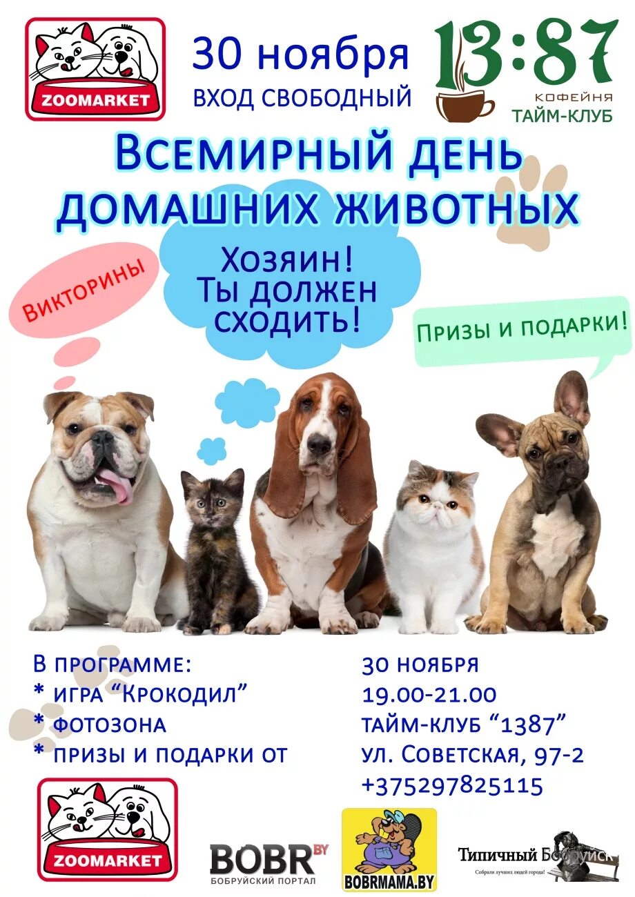 Мероприятие к всемирному дню животных. Мероприятие к всемирному дню животных