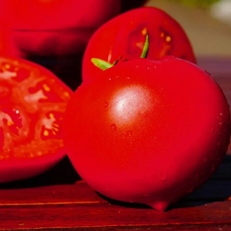 Томат супернова f1. Томат каста ф1. Томат супернова. Томат супернова. Томат супернова.