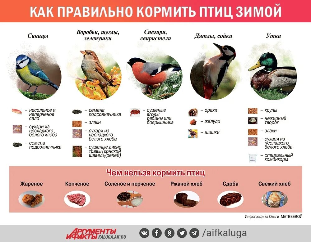 Каким птицам соответствуют