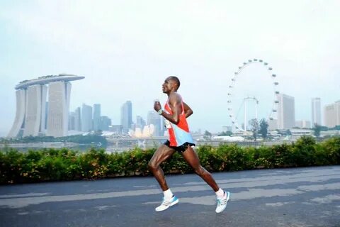 Jog future