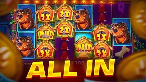 Dog house играть 1win на деньги taplink