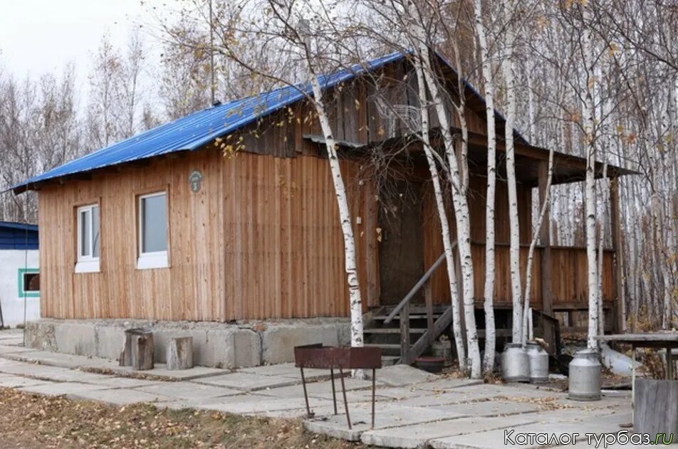 Берлога комсомольск на амуре. Мишкина Берлога Комсомольск-на-Амуре. Мишкина Берлога Комсомольск-на-Амуре база. Медвежья Берлога Хурба. Медвежья Берлога Комсомольск.