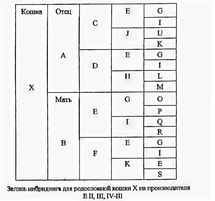 Таблица инбридинга. Таблица инбридинга у собак. Степени инбридинга. Коэффициент инбридинга у собак.